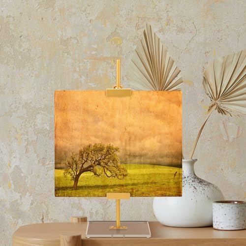 RattanView Adjustable Tabletop Easel Gold Picture Frame Holder Stand up to 16.5" H Metal Floating Picture Rack for Display Easel with Acrylic Base 16 x 5 Frame Holder Stand Table for Art Photo Signs