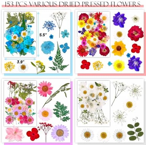 Evatage 153 Pcs Real Dried Pressed Flowers for Resin Crafts