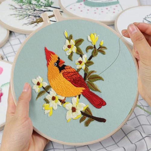 Louise Maelys 3 Set Colorful Bird Embroidery Kit for Beginners Gift