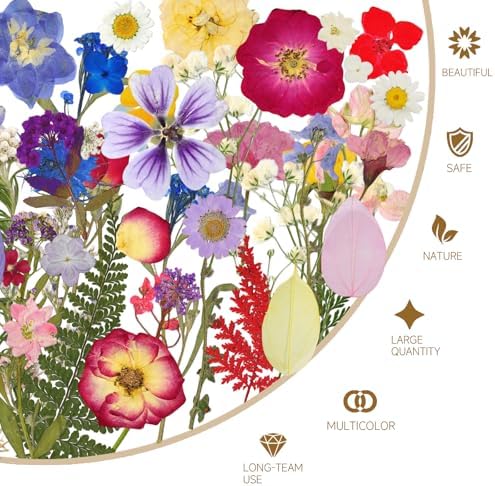 150 Pcs Dried Pressed Flowers for Resin