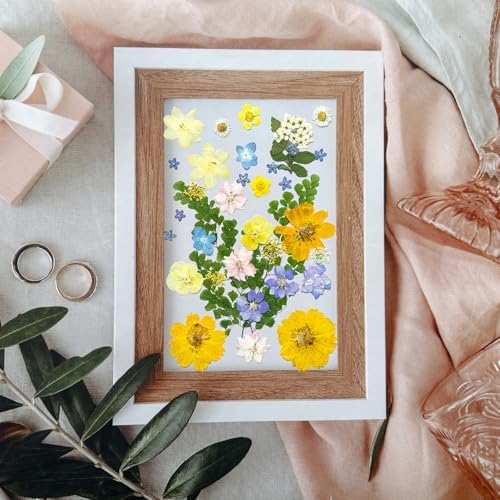 MIKIYA 34Pcs Pressed Dried Flowers for Resin, Assorted Real Natural Bulk Dry Leaves for DIY Art Crafts, Epoxy Molds, Jewelry, Soap, Candle Making, Nails Decors