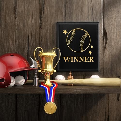 DIY Blank Wooden Award Plaques
