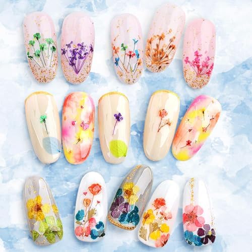 2 Boxes 3D Real Dried Flowers for Nail Art Colorful Mini Natural Gypsophila