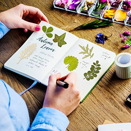 Timtin 84 Pcs Dried Pressed Leaves Flowers for Resin, Vivid