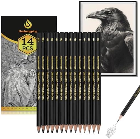 Heshengping Drawing Sketch Pencil Set 14pcs Sketching Pencils 12B 10B 8B 7B 6B 5B 4B 3B 2B B HB 2H 4H 6H Graphite Pencils for Kid Adults Artists Student Beginners Professional