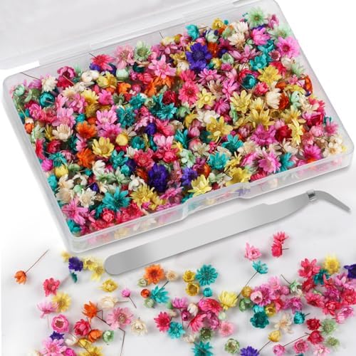 300 Pcs Mini Dried Flowers for Resin, Small Dried Flowers for Crafts