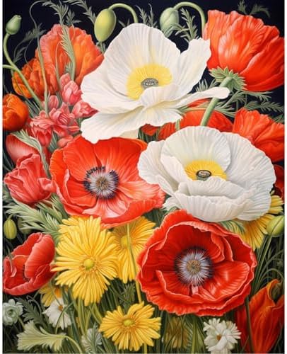 xcemhil Flowers Paint by Number Kit for Adults, Poppy Paint by Numbers Kit, Adult Paint by Number Kits on Canvas for Gift Home Wall Decor 16x20in