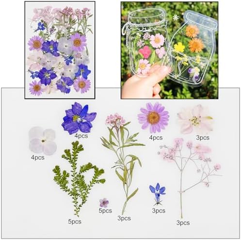 Cayway 170 PCS Real Nature Dried Pressed Flower Leaves, Pressed Flowers for Resin, Real Nature Pressing Floral Leaves for DIY Craft, Candle Scrapbooking Supplies, Purple