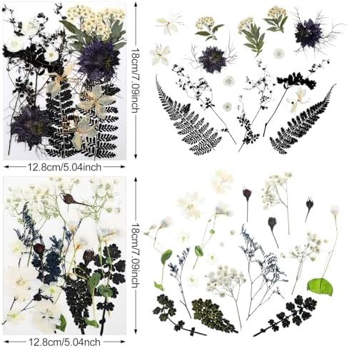 Nuanchu Black White Dried Pressed Flowers for Craft Resin, Halloween DIY