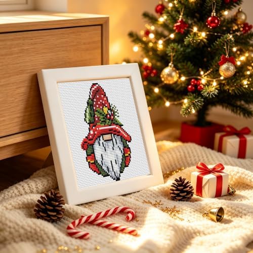 Christmas Gnome Stamped Cross Stitch Kits for Beginners Embroidery Kit