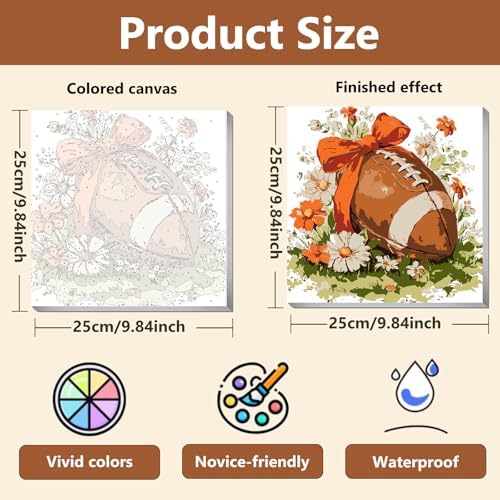 Reivworl Framed Football Paint by Numbers Kit for Adults Beginner 10×10 inch