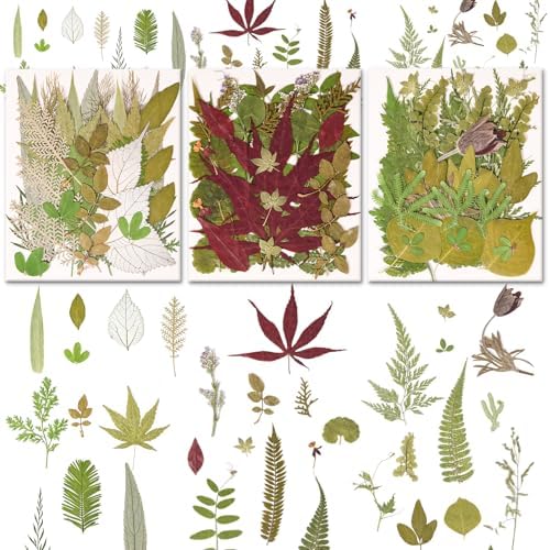 100 PCS Real Pressed Dried Leaves with Tweezers | Natural Dried Flowers, For Resin, Candle, Jewelry, Scrapbooking & DIY Crafts, Leaves 100