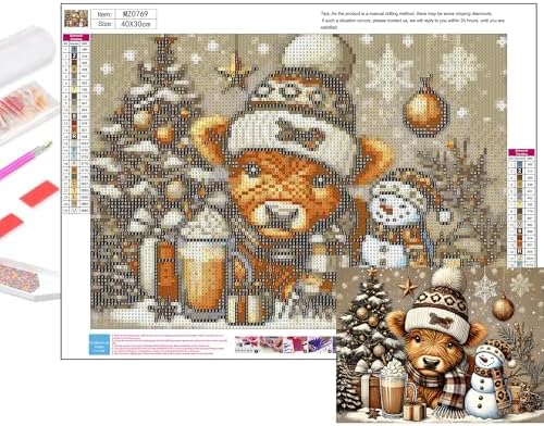 Axquilon Christmas Diamond Art Kits for Adults 16x12 inch