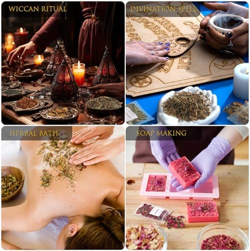 Witchcraft Herbs Kit, Dried Herbs and Flowers for Witch Beginners, 40 Pack