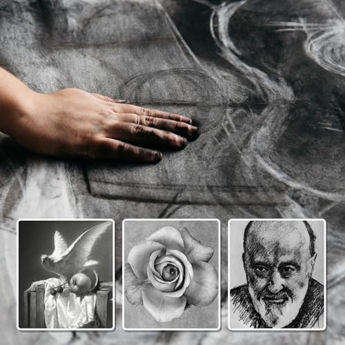 Premium Charcoal Powder for Drawing and Art, Drawing Charcoal for Sketching, Shading, Blending with Beginners & Pro Artists (8 Ounces)