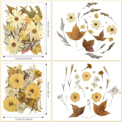 Nuanchu Boho Beige Dried Pressed Flowers for Craft Resin Mold, Vintage