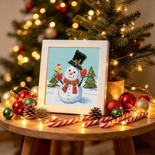 Christmas Snowman Stamped Cross Stitch Kits for Adults Beginners with Frame