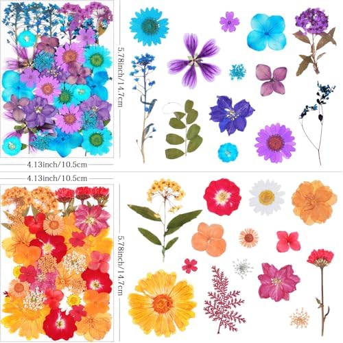 141Pcs Dried Pressed Flowers for Crafts,Xinxinran Dry Flower Kit for Resin Molds,Epoxy Resin Accessories,Bookmark,Nails, Jewelry Molds,Candle Making Supplies,Soap,Frame(Mixed Color)