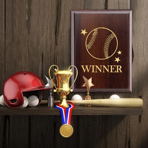DIY Blank Wooden Award Plaques