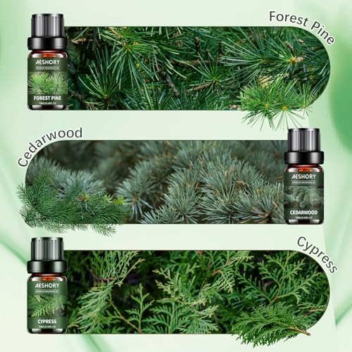 Woody Essential Oils Set - 6x10ML Woody Scents Fragrance Oil for Candle Making, Diffuser - Teakwood, Sandalwood, Cedarwood, Cyperss, Forest Pine, Frankincense Aromatherapy Oils