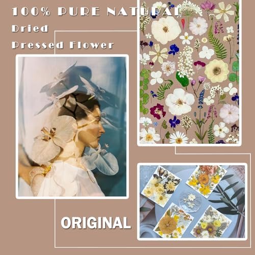 MIKIYA 90Pcs Dried Pressed Flowers for Resin Molds, Vintage White Bulk Real Natural Dry Floral for DIY Art Crafts, Epoxy Jewelry, Candle, Soap Making, Nails Decor, Phone Case