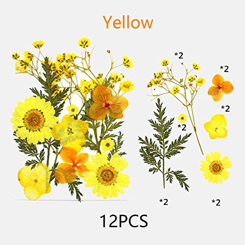 Cayway Real Pressed Flowers Dry, 4 Pack Pressed Flowers Colorful Real Pressed Flowers for Resin Scrapbooking DIY Art Crafts, Epoxy Resin Jewelry, Soap Making