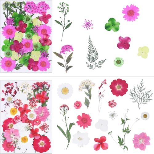 141Pcs Colorful Dried Pressed Flowers for Crafts,Xinxinran Dry Flowers Kit for Resin Molds,Epoxy Resin Accessories,Bookmark,Nails, Jewelry Molds,Candle Making Supplies,Soap,Frame(Mix Color)