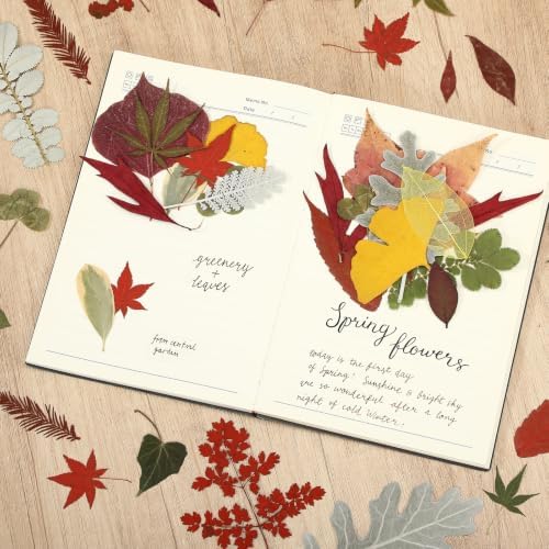 Timtin 84 Pcs Dried Pressed Leaves Flowers for Resin, Fresh