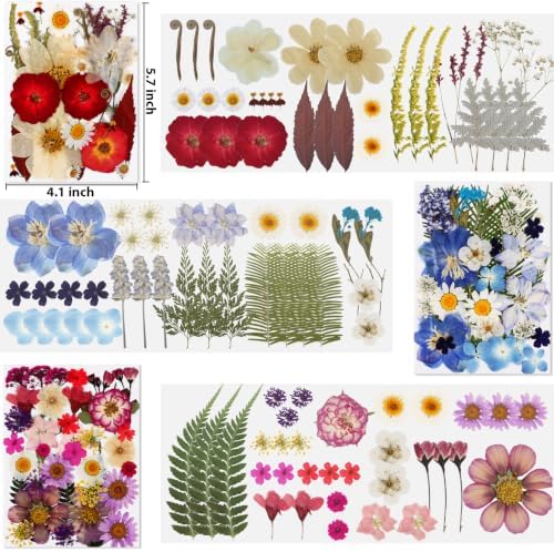 105 Pcs Dried Pressed Flowers for Resin,Bulk Natural Real Dried Flowers