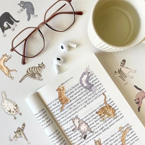 50Pcs Cartoon Cat Scratch PET Stickers