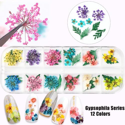 2 Boxes 3D Real Dried Flowers for Nail Art Colorful Mini Natural Gypsophila