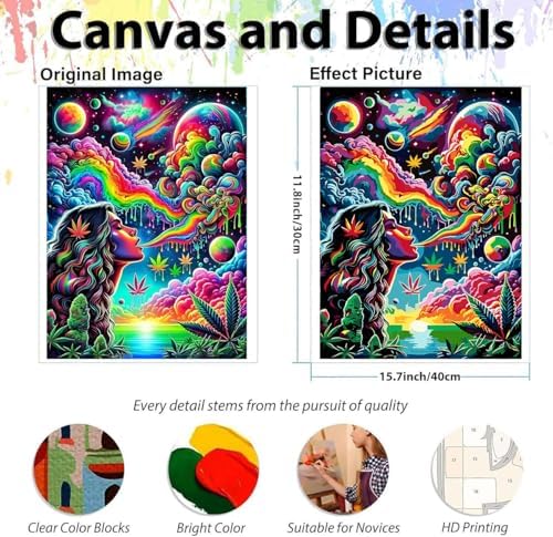 EIBEILI 6 Pack Colorful Style Paint by Numbers Kit for Adults Beginner,Starry Sky Adult Paint by Number Kits on Canvas,Easy Canvas Paint by Numbers for Adults for Home Wall Decoration 12 X 16 inch