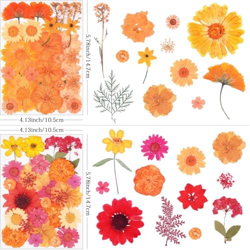 110Pcs Fall Dried Pressed Flowers for Crafts,Xinxinran Dry Flower Kit for Resin Molds,Epoxy Resin Accessories,Bookmark,Nails, Jewelry Molds,Candle Making Supplies,Soap,Frame