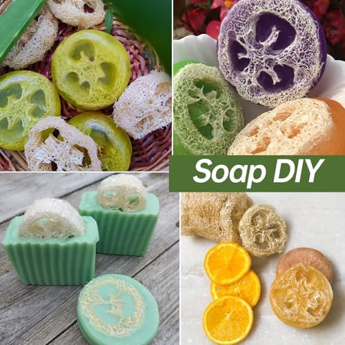 Natural Loofah Sponge, Organic Loofah Slices for Soap Making, 20 Pack
