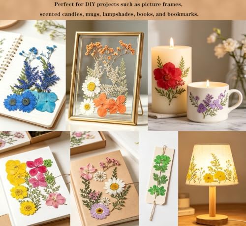 Dried Flowers, Resiners 80Pcs（Trending Colors） Pressed Flowers for Craft Real Natural Dried Flowers Dry Leaves Kit for DIY Making Crafts Resin Soap Candle Scrapbook Supplies Card Making Jewelry