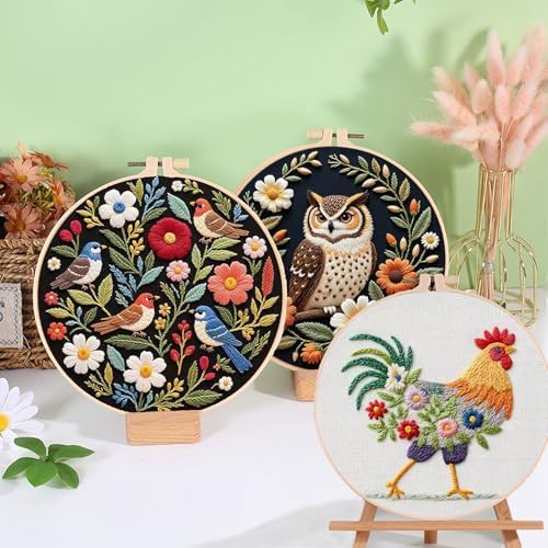 Ohcol Embroidery Kit Beginners Cross Stitch Needlepoint Kits for Adults Needle Point Kits with Hummingbird & Hoop