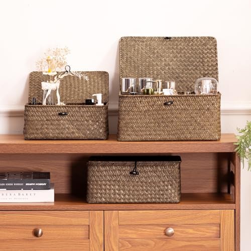Nonam Wicker Storage Basket with Lid,Seagrass Shelf Basket Set of 2,Coffee