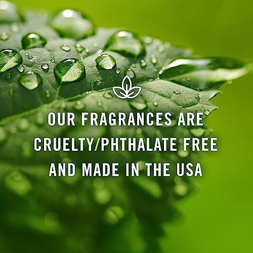 P&J Trading Fragrance Oils for Diffusers for Home Sweet Set Fragrance Scents for Candle Making - Soap Making Supplies - Car Diffuser Scents - Essential Home Gift Set - Cotton Candy, Smores & More