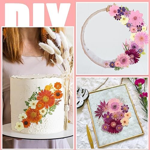 Nuanchu Dried Flowers Pressed for Crafts Resin Molds DIY, Large Sunflower