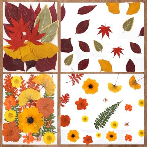 Dried Flowers 68Pcs Fall Pressed Flower with Tweezer for Crafts