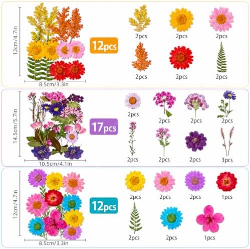 181 pcs Dried Flowers for Resin, Natural Flowers and Leaves Kit with Butterfly Stickers， Vacuum Sealed DIY Pressed Flowers for Jewelry Molds, Candle Soap Making, Scrapbook, Nail Art (Colorful-A)
