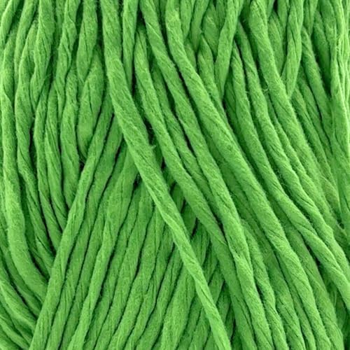 S Sensy Softee Raffia - Polyester Raffia Yarn 10 Skeins Green 109 Yards 4oz