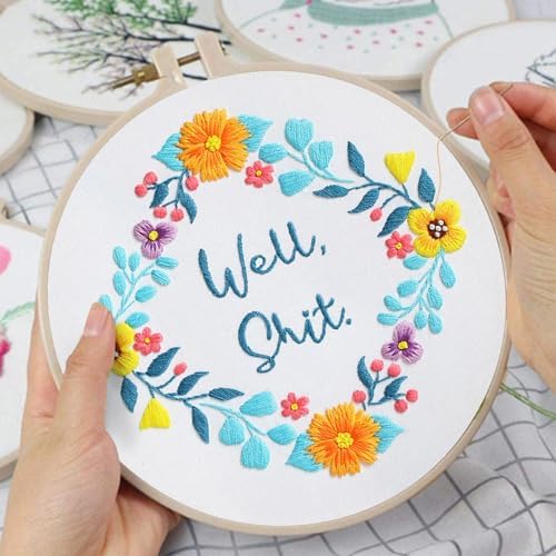 Louise Maelys 3 Sets Funny Embroidery Kits for Beginners