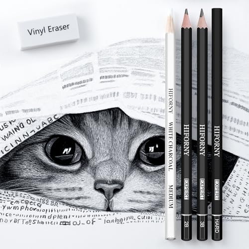 HIFORNY 30 PCS Sketching Drawing Pencil Set,Sketch Pencils Art Supplies with Graphite,Charcoal,Blending Tools,Accessories,Drawing Kit for Adults Artists