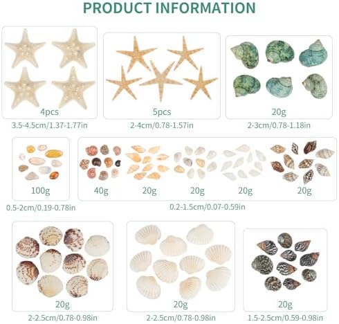 Fangoo 1500 Pieces Small Sea Shells Conch Natural Starfish Mixed Agate Pebble Stone for DIY Crafts Tiny Seashells for Vase Filler Candle Making Home Decor Wedding Beach Ocean Party Decorations