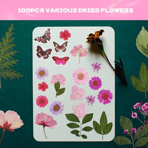 Dried Flowers for Resin 116Pcs Pink Real Natural Pressed Flowers