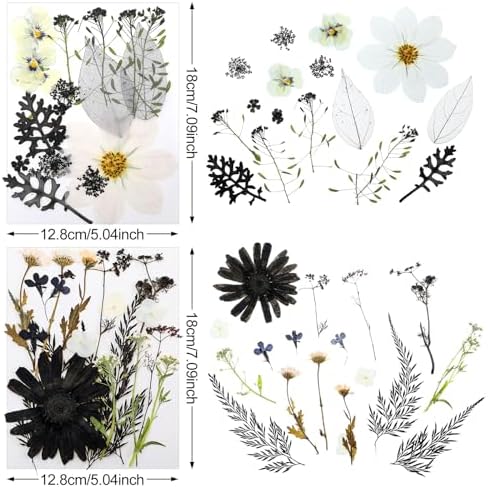 Nuanchu Black White Dried Pressed Flowers for Craft Resin, Halloween DIY