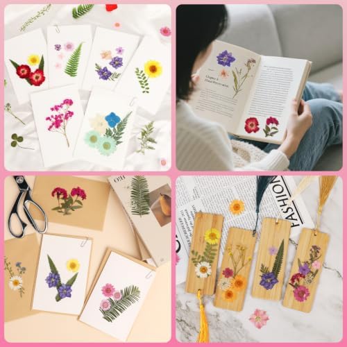 NESCCI 210 Pcs Dried Pressed Flowers for Resin,Real Nature Dried Flowers for Crafts Bulk Dry Flowers Leaves Kit Used for Resin Molds Scrapbooking DIY Art Crafts Candle Soap Making Nails Décor