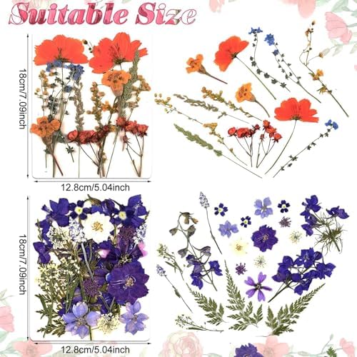 Nuanchu Real Dried Pressed Flowers for Craft Resin Molds, Cottage Garden