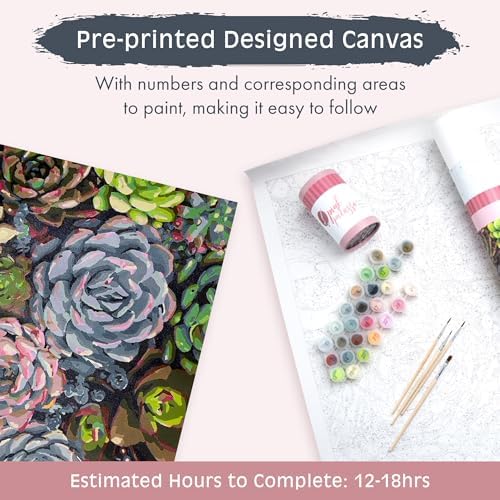 Pink Picasso Paint by Number Kit, Adults & Teens,16x20,Sensitive Succulents